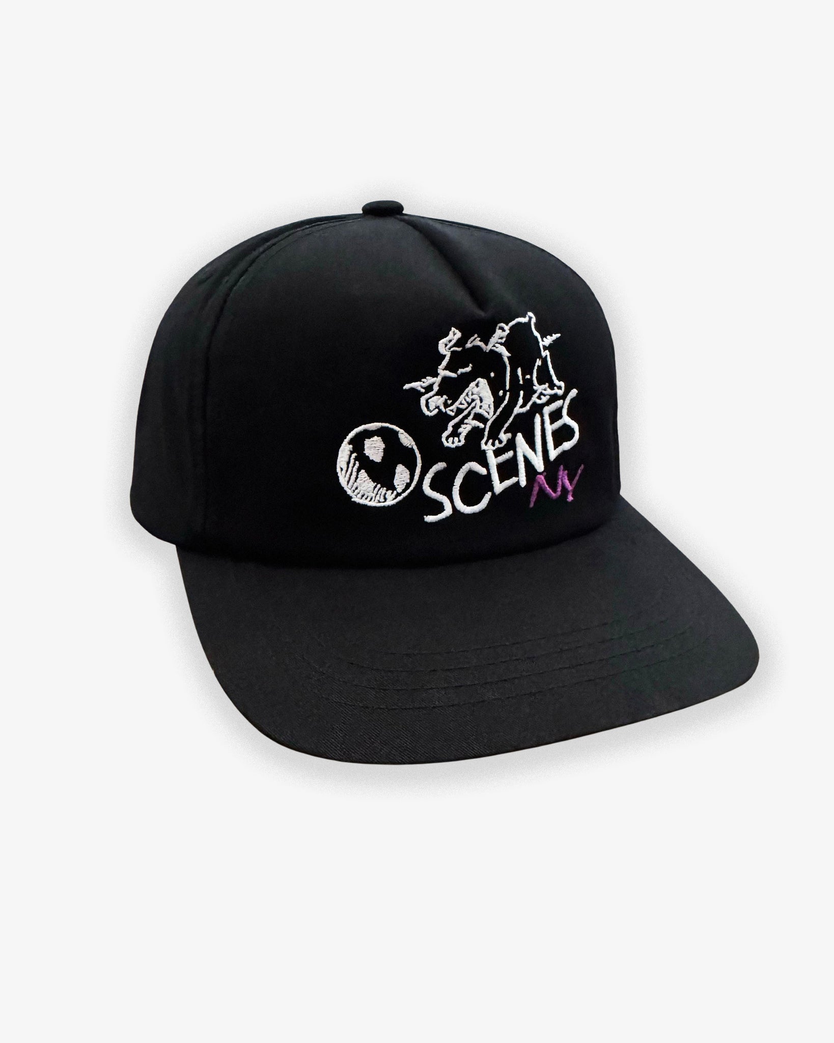 FETCH SNAPBACK